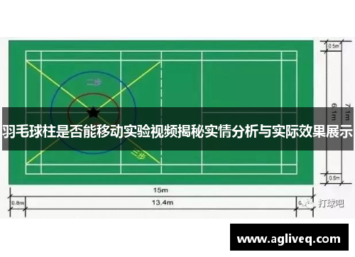 羽毛球柱是否能移动实验视频揭秘实情分析与实际效果展示